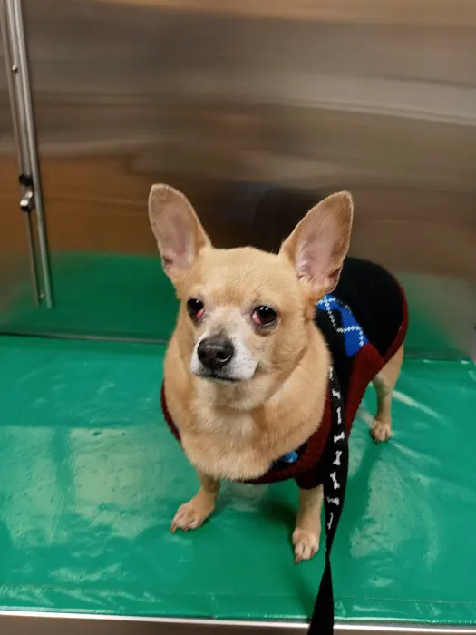 Lehigh Valley Animal Hospital 12