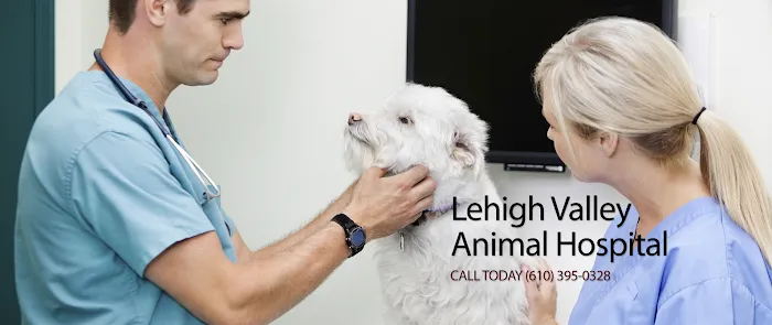 Lehigh Valley Animal Hospital 12
