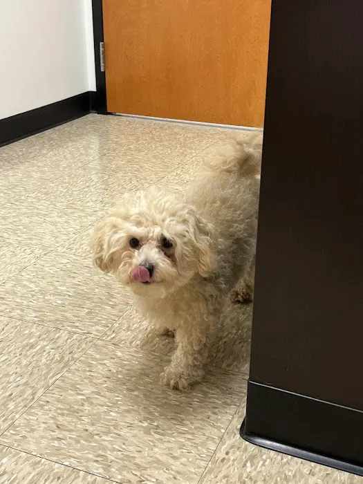 Rush Veterinary Urgent Care 12