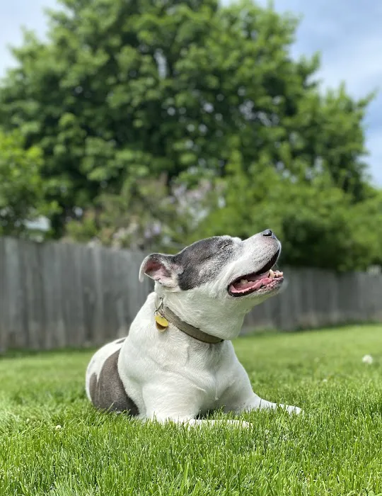 Rush Veterinary Urgent Care 12