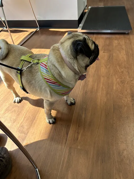 Rush Veterinary Urgent Care 12