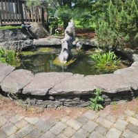 Pet Allergy & Dermatology Specialists (Lehigh Valley Vet Dermatology) ico