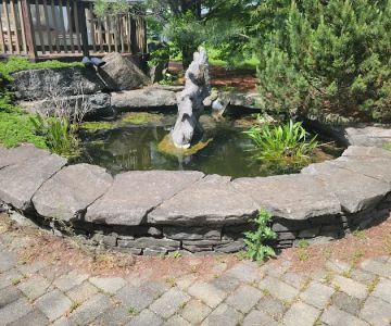 Pet Allergy & Dermatology Specialists (Lehigh Valley Vet Dermatology)