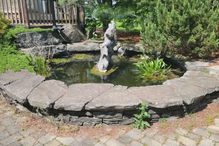 Pet Allergy & Dermatology Specialists (Lehigh Valley Vet Dermatology)