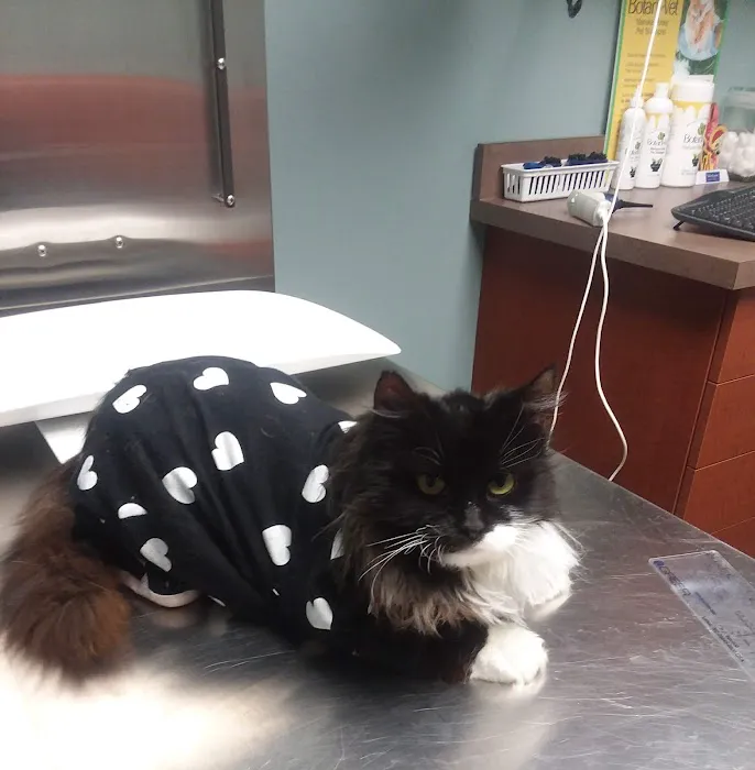 Pet Allergy & Dermatology Specialists (Lehigh Valley Vet Dermatology) 12