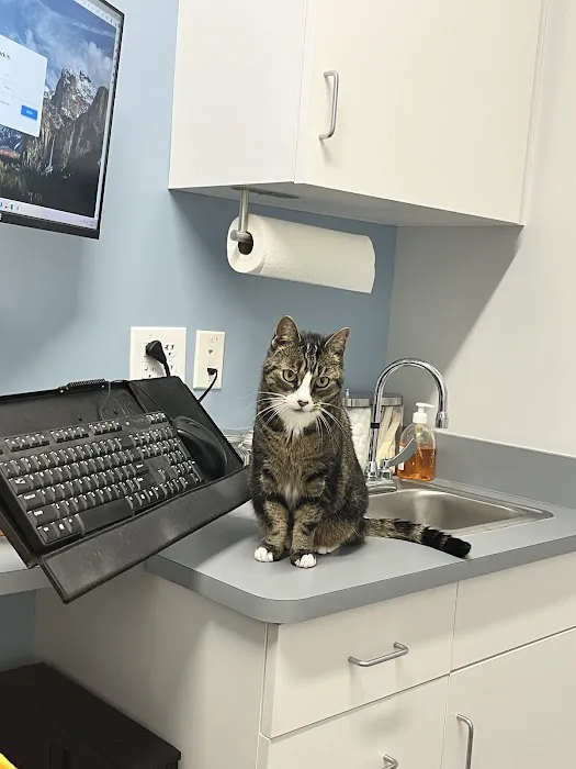 Sunflower Veterinary Center 12