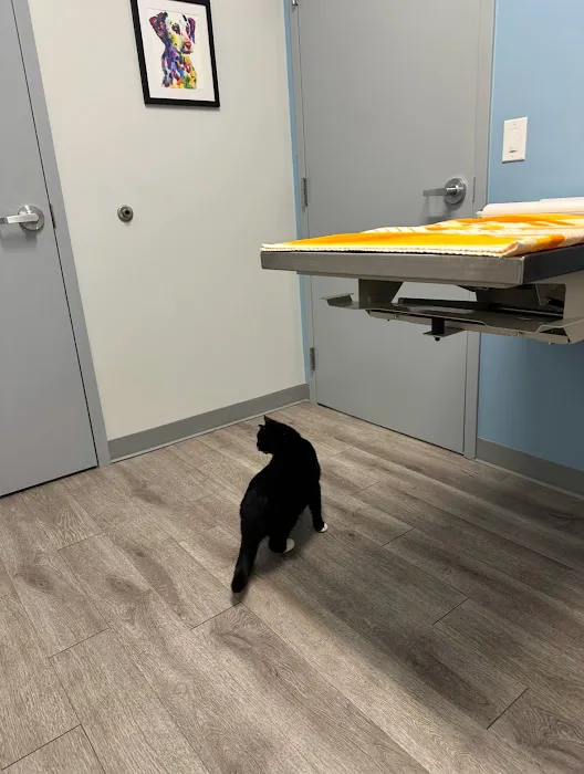 Sunflower Veterinary Center 12