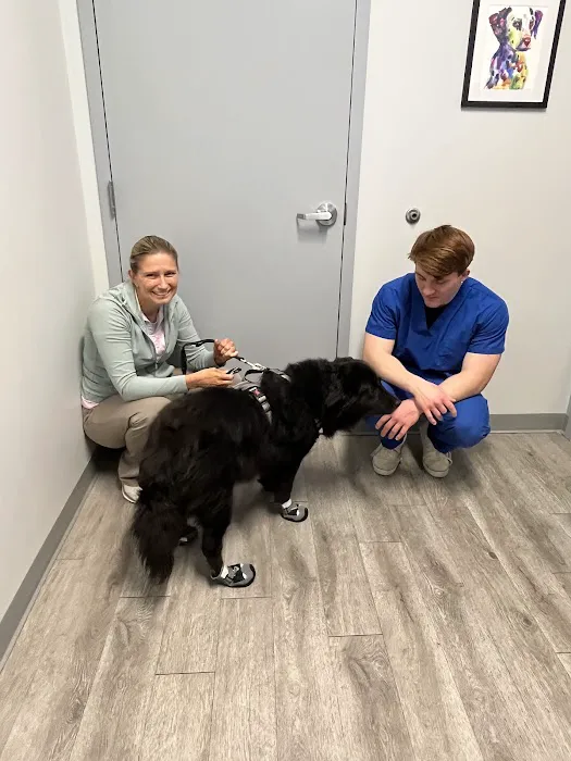 Sunflower Veterinary Center 12