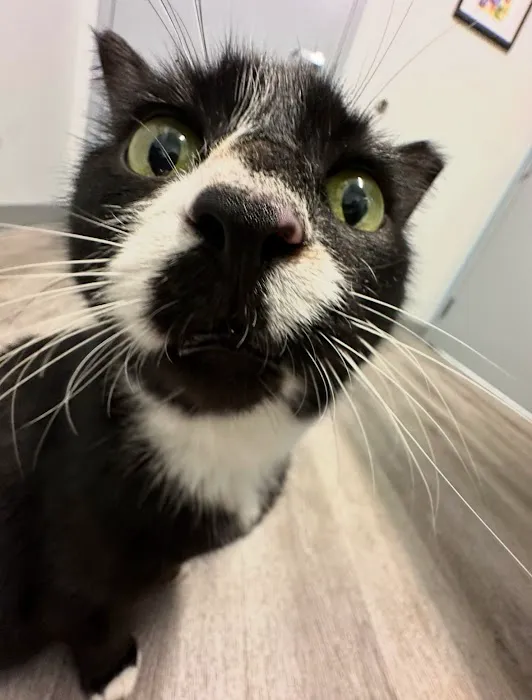 Sunflower Veterinary Center 12