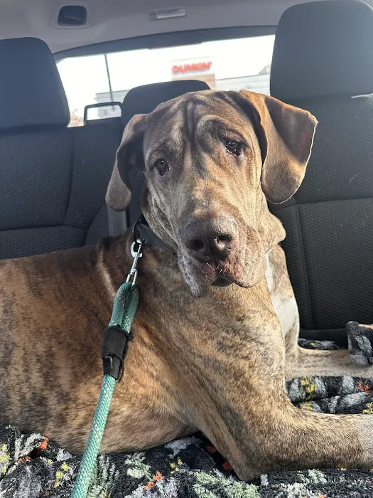 Sunflower Veterinary Center 12