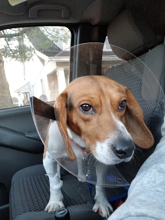 Orefield Veterinary Clinic 12