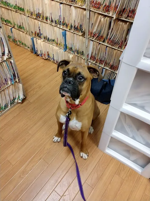 Stanglein Veterinary Clinic 12