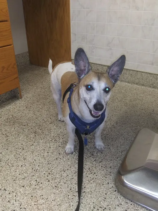 Stanglein Veterinary Clinic 12