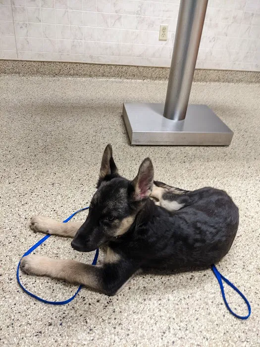 Stanglein Veterinary Clinic 12