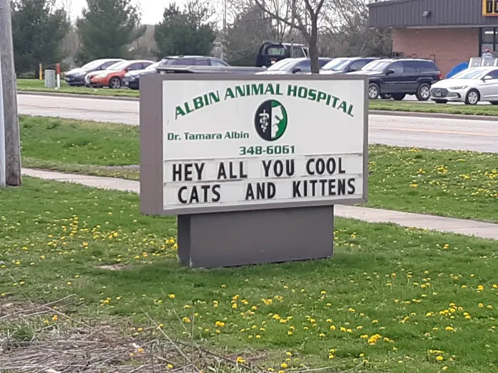 Albin Animal Hospital of Charleston 12