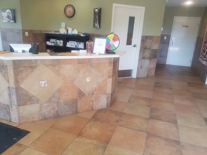 Albin Animal Hospital of Charleston 12