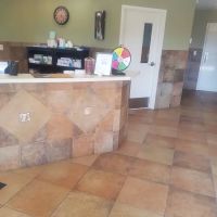Albin Animal Hospital of Charleston ico