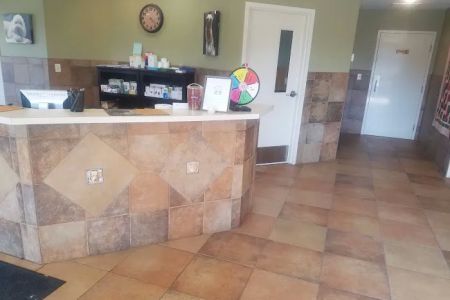 Albin Animal Hospital of Charleston