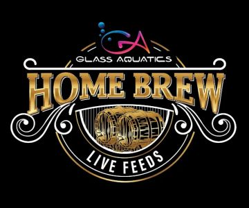 Home Brew Live Feeds