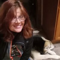 Animal Medical Center ico