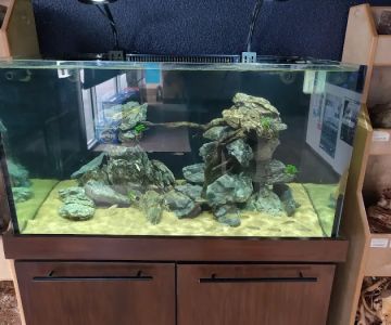 Rift 2 Reef Aquatics