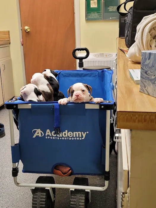 Fort Branch Veterinary Hospital 12