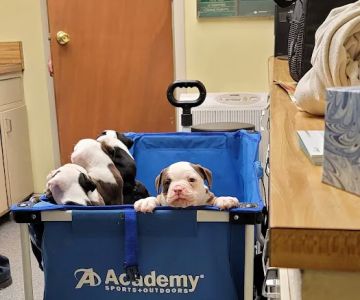 Fort Branch Veterinary Hospital