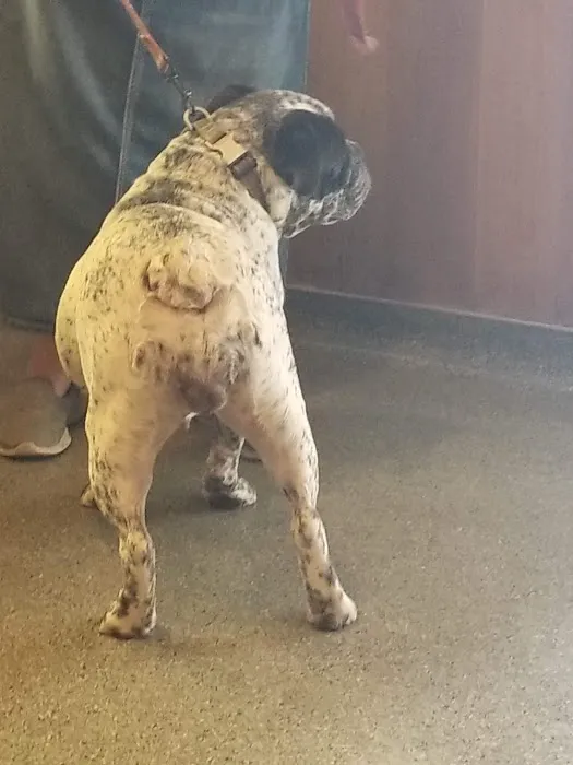 Fort Branch Veterinary Hospital 12