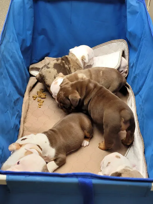 Fort Branch Veterinary Hospital 12