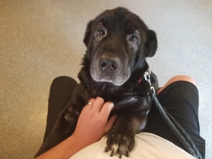 Fort Branch Veterinary Hospital 12