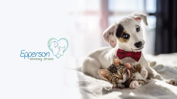 Epperson Veterinary Services 12