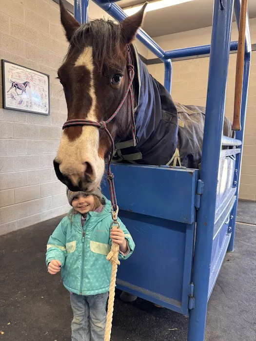 Stone Ridge Equine Care 12