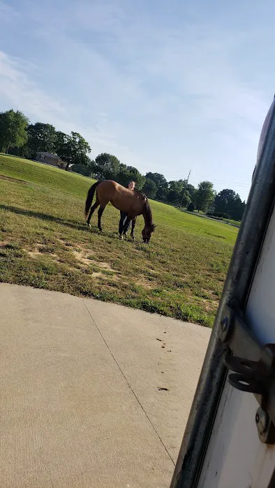 Stone Ridge Equine Care 12