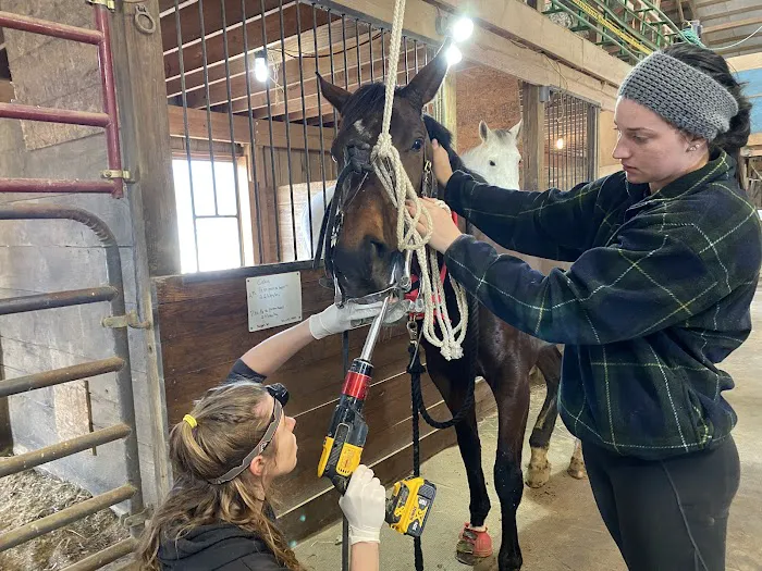 Stone Ridge Equine Care 12
