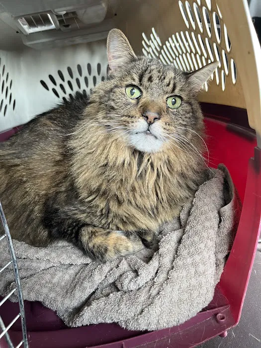 Stone Ridge Animal Care 12