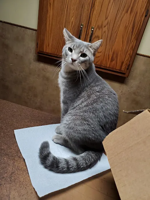 Hilltop Veterinary Services Office 12