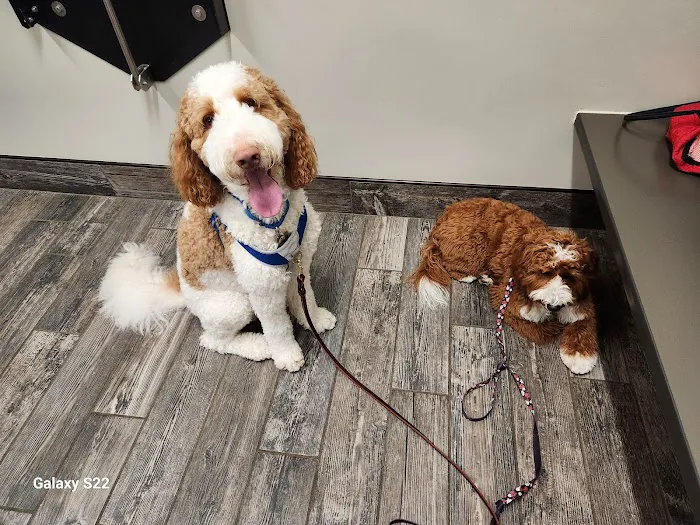 East Pines Animal Clinic 12
