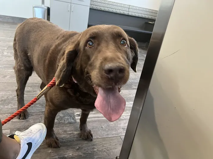 East Pines Animal Clinic 12