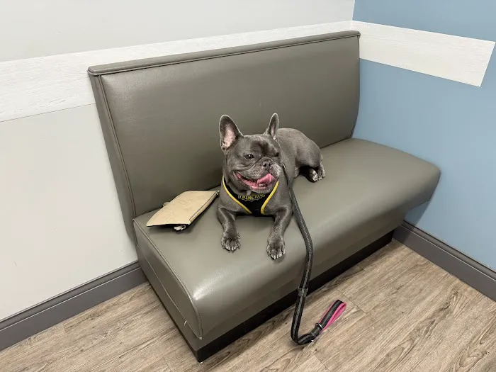 Warrick Veterinary Clinic - Boonville 12