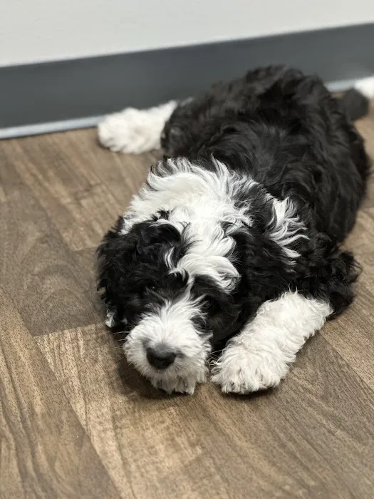 Warrick Veterinary Clinic - Boonville 12