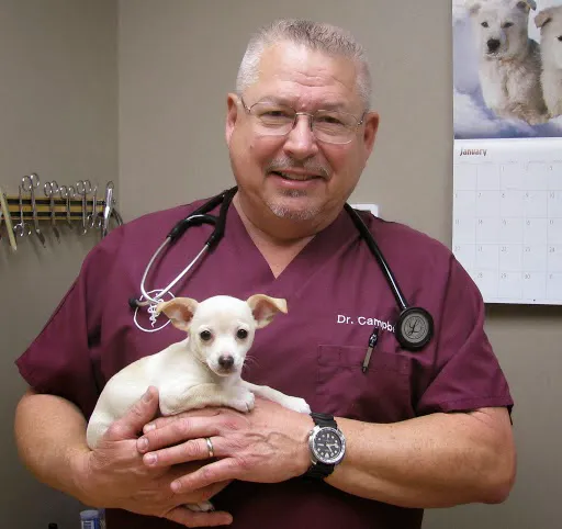 Veterinary Services 5