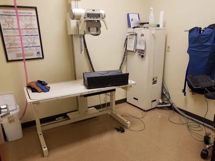 VCA Northwood Animal Hospital 12