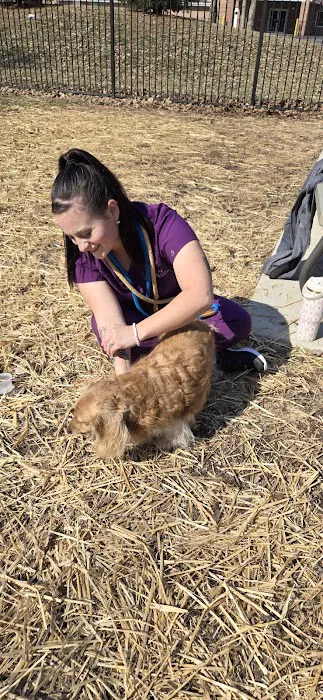 VCA Northwood Animal Hospital 12