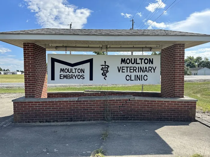 Moulton Veterinary Clinic 12