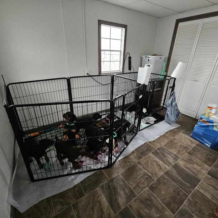 Midgarden Veterinary Clinic 12