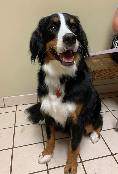 Tri-County Veterinary Service 12