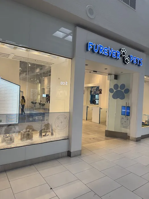Furever Pets 3