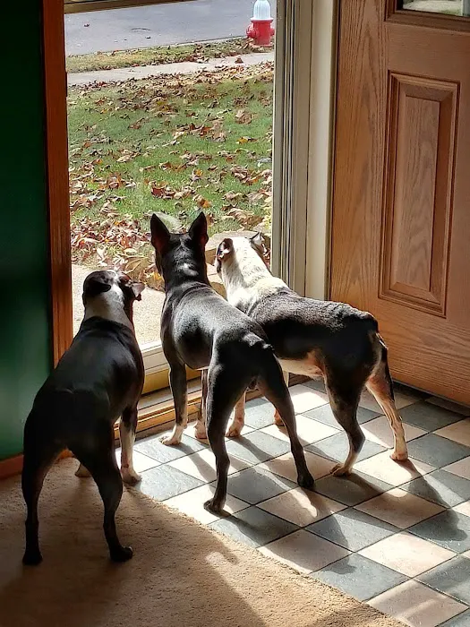 Flinn Veterinary Clinic 12