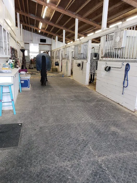 Woodland View Equine Services Inc 12