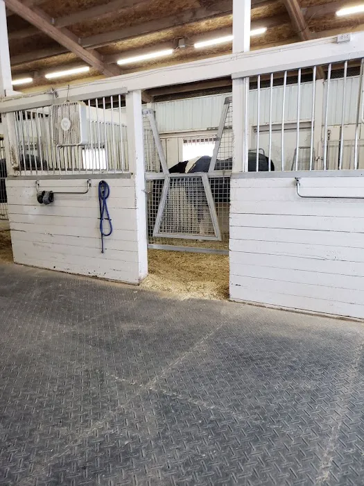Woodland View Equine Services Inc 12